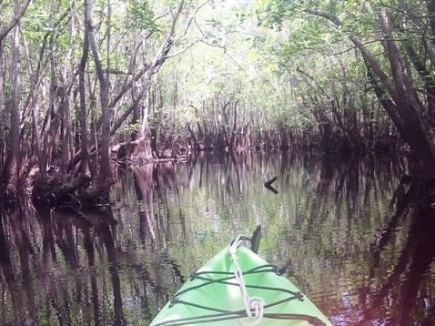 paddling, Apalachicola River ARWEA, Bloody Bluff Landing