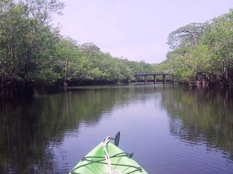 paddling, Apalachicola River ARWEA, Bloody Bluff Landing