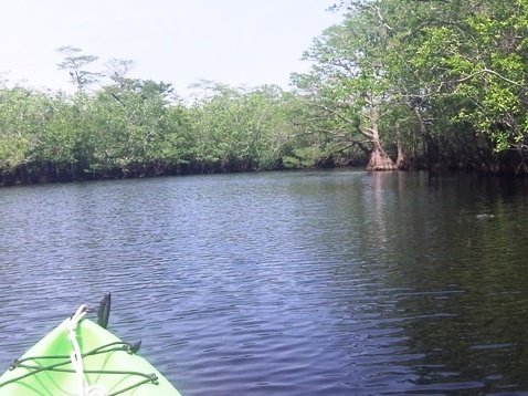 paddling, Apalachicola River ARWEA, Bloody Bluff Landing