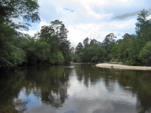 Paddle Florida Panhandle, Blackwater River, Kayak, Canoe