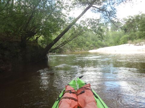 Florida Panhandle, Blackwater River