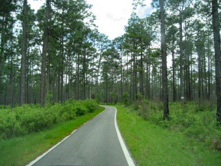 Florida Panhandle, Blackwater River