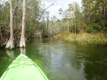 paddle, kayak, canoe, Florida Panhandle, Boiling Creek