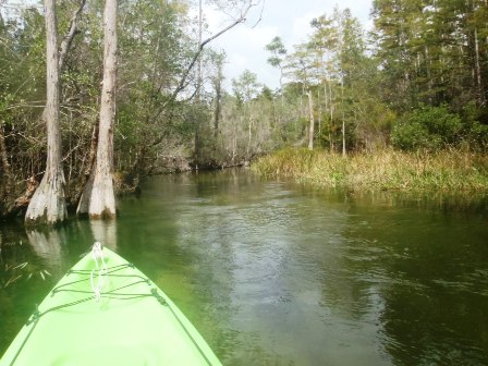 Boiling Creek