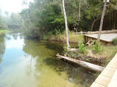 Paddle Florida Panhandle, Boiling Creek - Kayak, Canoe