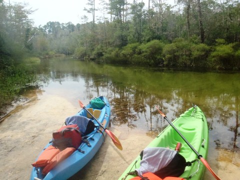 Paddle Florida Panhandle, Boiling Creek - Kayak, Canoe