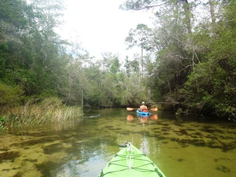 Paddle Florida Panhandle, Boiling Creek - Kayak, Canoe