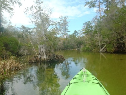 Paddle Florida Panhandle, Boiling Creek - Kayak, Canoe