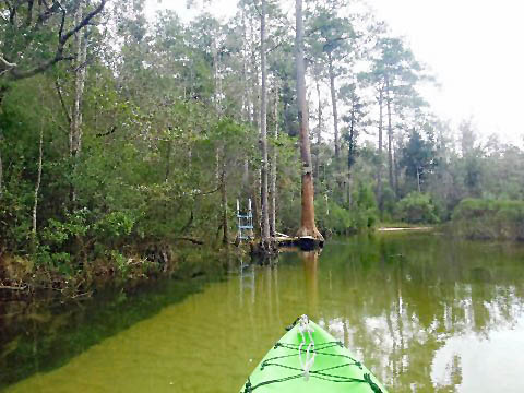 Paddle Florida Panhandle, Boiling Creek - Kayak, Canoe