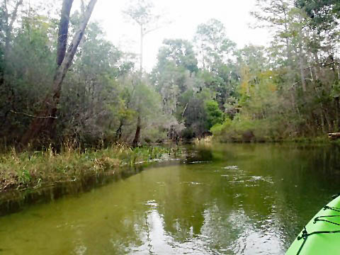 Paddle Florida Panhandle, Boiling Creek - Kayak, Canoe