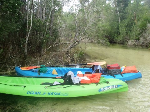 Paddle Florida Panhandle, Boiling Creek - Kayak, Canoe