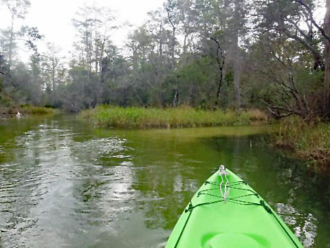 Paddle Florida Panhandle, Boiling Creek - Kayak, Canoe