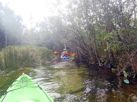 Paddle Florida Panhandle, Boiling Creek - Kayak, Canoe