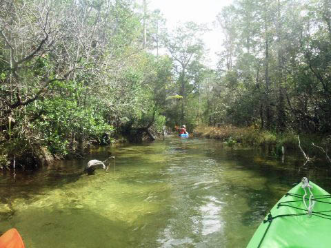 Paddle Florida Panhandle, Boiling Creek - Kayak, Canoe