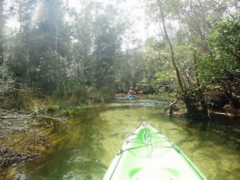 Paddle Florida Panhandle, Boiling Creek - Kayak, Canoe