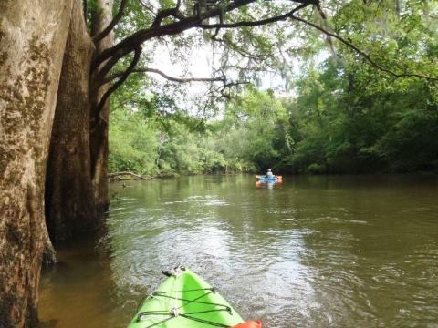 Spring Creek, Chipola River