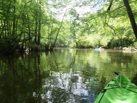 Florida Panhandle, Chipola River, Florida Caverns