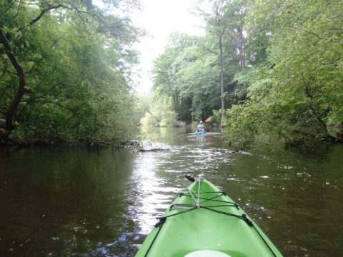 Florida Panhandle, Chipola River, Florida Caverns