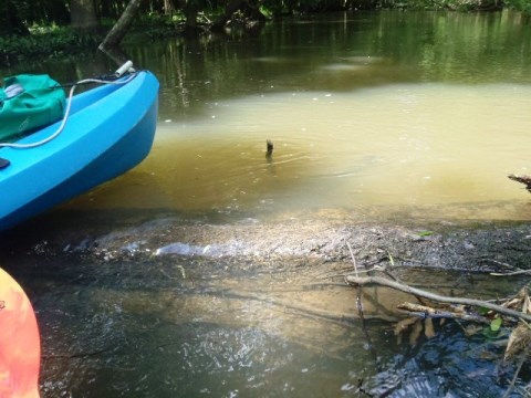 Florida Panhandle, Chipola River, Florida Caverns