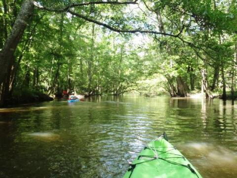 Florida Panhandle, Chipola River, Florida Caverns