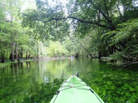 Florida Panhandle, Chipola River, Florida Caverns