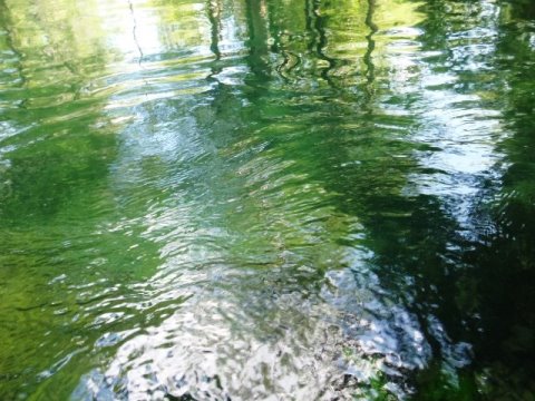 Florida Panhandle, Chipola River, Florida Caverns