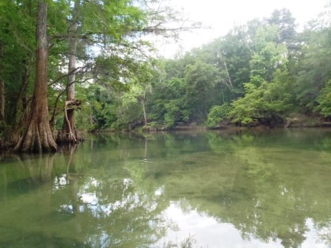 Florida Panhandle, Chipola River