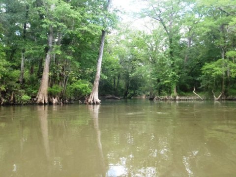 Florida Panhandle, Chipola River