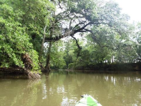 Florida Panhandle, Chipola River