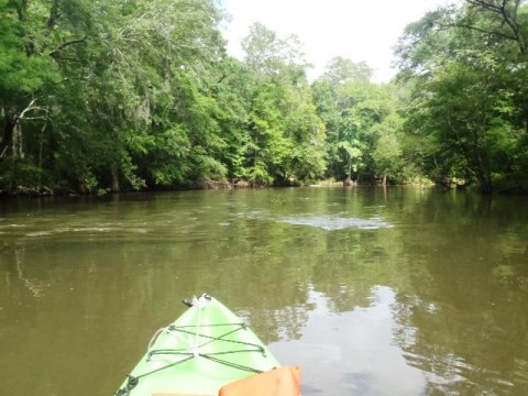 Florida Panhandle, Chipola River