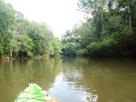 Florida Panhandle, Chipola River