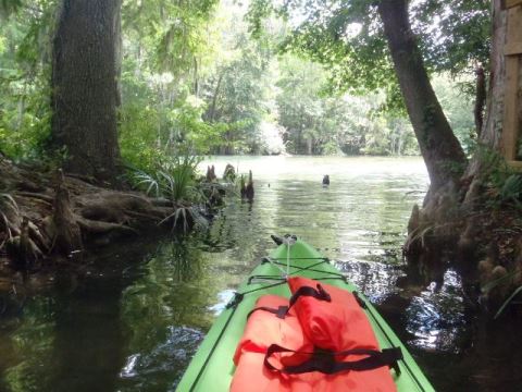 Florida Panhandle, Chipola River, Spring Creek