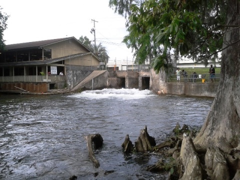 Florida Panhandle, Chipola River, Spring Creek