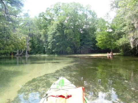 Florida Panhandle, Chipola River, Spring Creek