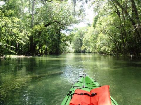 Florida Panhandle, Chipola River, Spring Creek