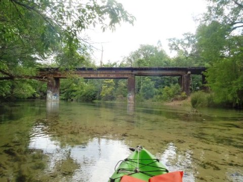 Florida Panhandle, Chipola River, Spring Creek