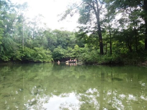 Florida Panhandle, Chipola River, Spring Creek