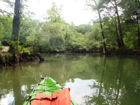 Florida Panhandle, Chipola River, Spring Creek
