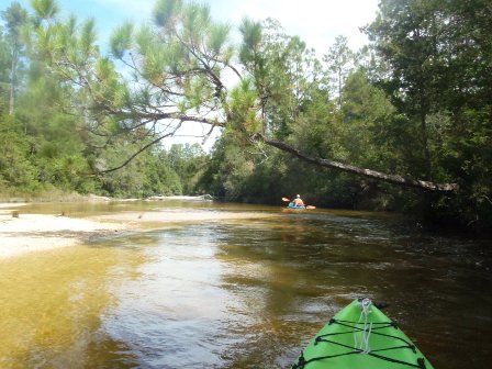 Coldwater Creek, Paddling FL Panhandle. E-Z Map, 40+ Photos.