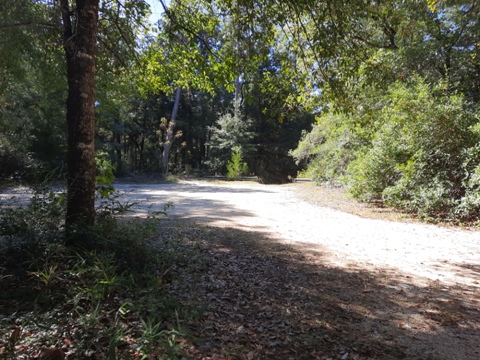 Coldwater Creek, Panhandle