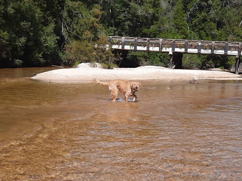 Coldwater Creek, Panhandle