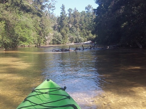 Coldwater Creek, Panhandle