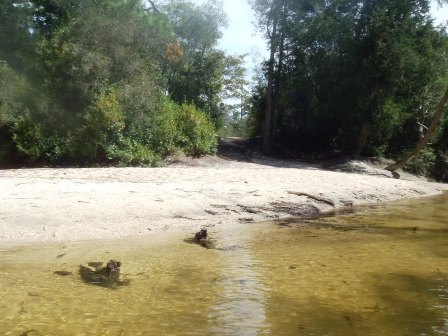 Coldwater Creek, Panhandle