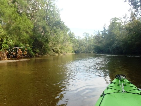 Coldwater Creek, Panhandle