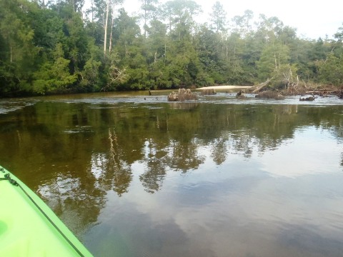 Coldwater Creek, Panhandle