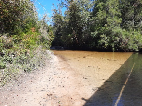 Coldwater Creek, Panhandle