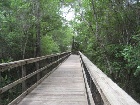 Florida Panhandle, Blackwater River