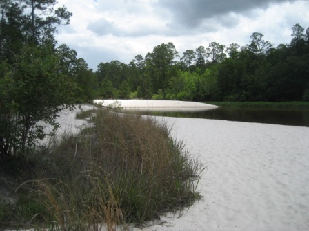 Florida Panhandle, Blackwater River