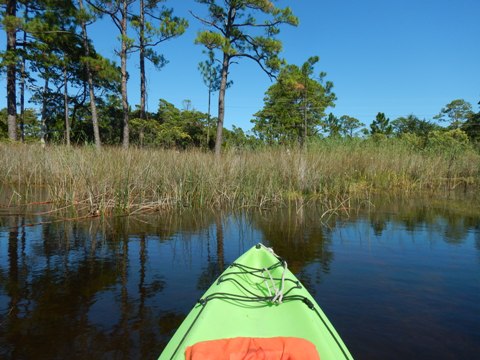 Florida Panhandle, Blackwater River