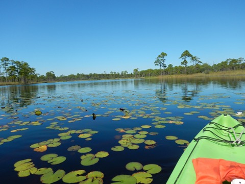 Florida Panhandle, Blackwater River